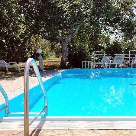 Apartments Ficur With Swimming Pool & Grill, Portorož Eksteriør billede